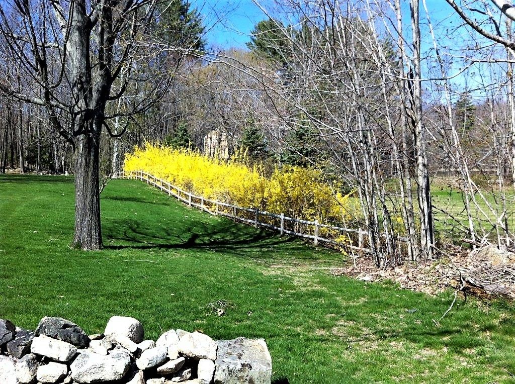 Portico Realty Realtor North Berwick, Maine