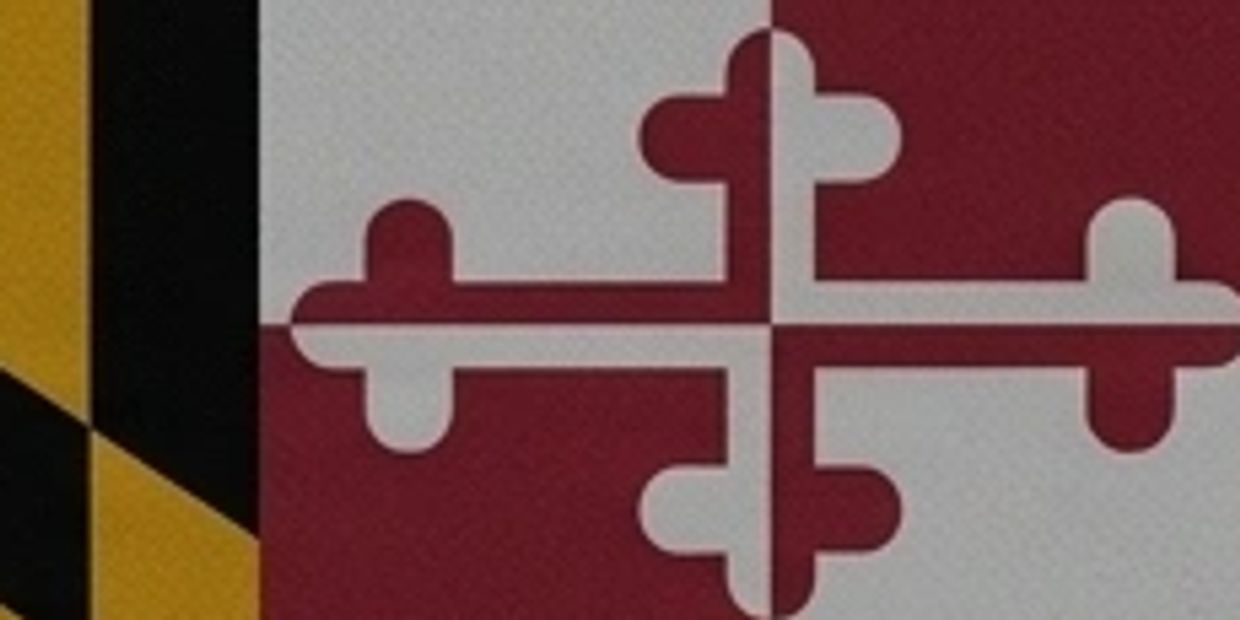 Close-up of the Maryland state flag pattern.