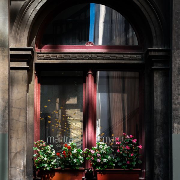 Arched window with flower boxes and a person walking by.