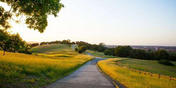 A winding path through a sunlit grassy meadow with trees and hills.