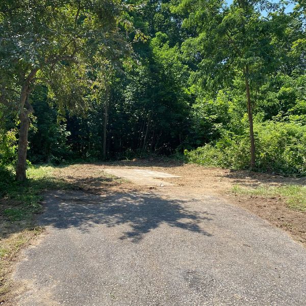 Cleared patch of land surrounded by lush green trees under sunlight.
