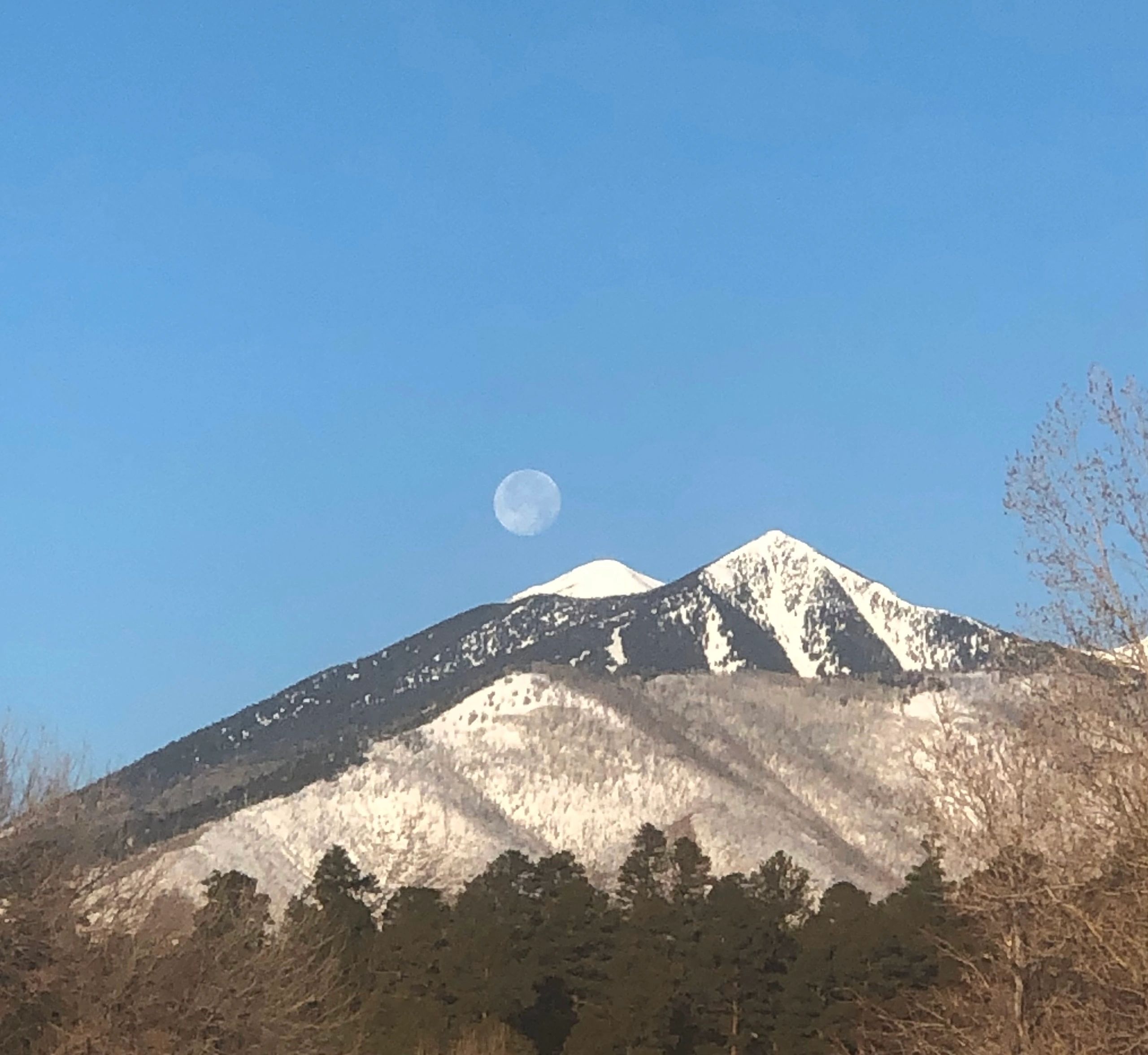 Flagstaff Kennel Club