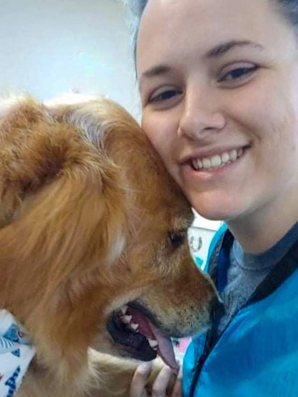 K9 Clips Dog Groomer, Pet Groomer, Local Dog Groomers