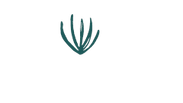 NAMONI Lodge