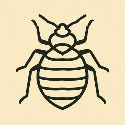 Line Drawing of bedbug in light yellow Circle