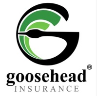 Anytime Insurance by Goosehead