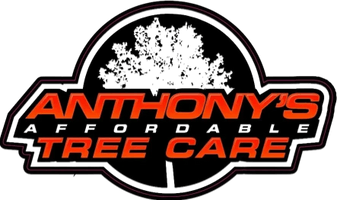 Anthony's Affordable Tree Care
