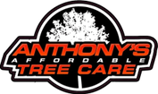 Anthony's Affordable Tree Care