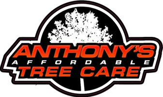 Anthony's Affordable Tree Care