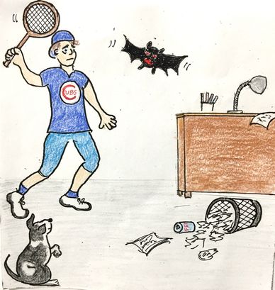 covid comic crusaders richard rose author cartoon series coronavirus chicago superdoc infecto 