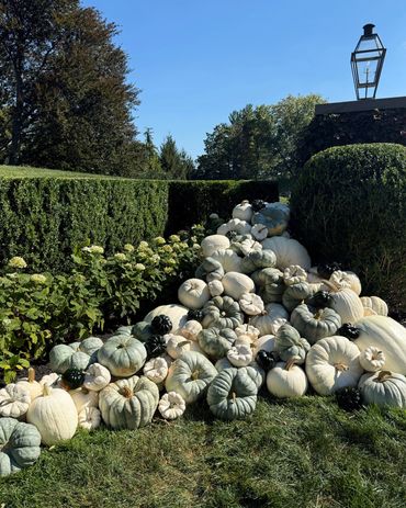 luxury fall entrance pumpkin display  New Jersey New Yorks pumpkin decorating service 