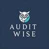 Audit Wise 