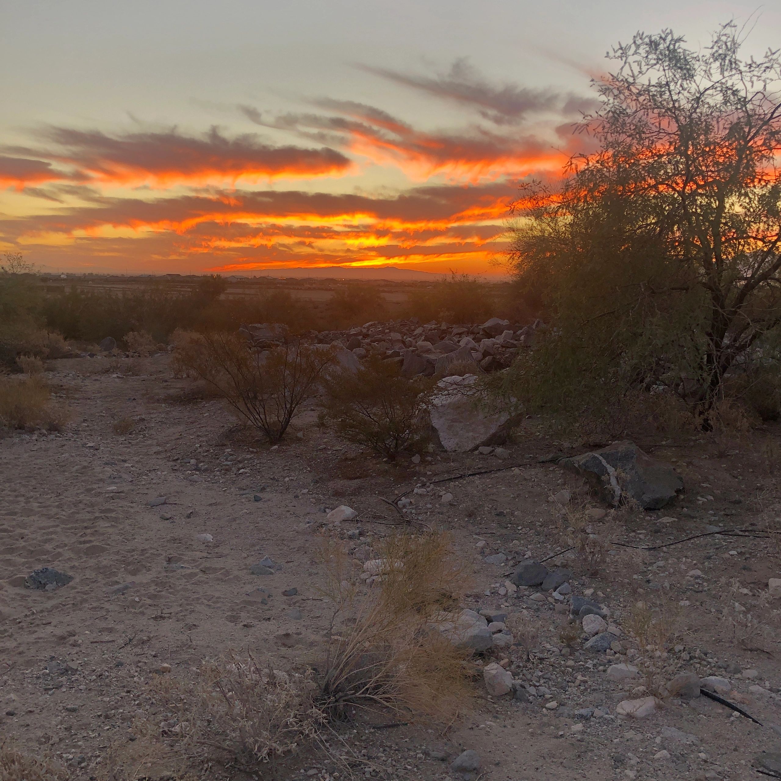 Desert at sunset.
