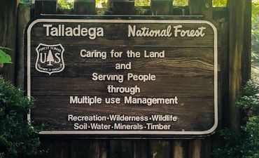 Talladega National Forest
Talladega, Alabama