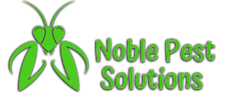 NoblePestS