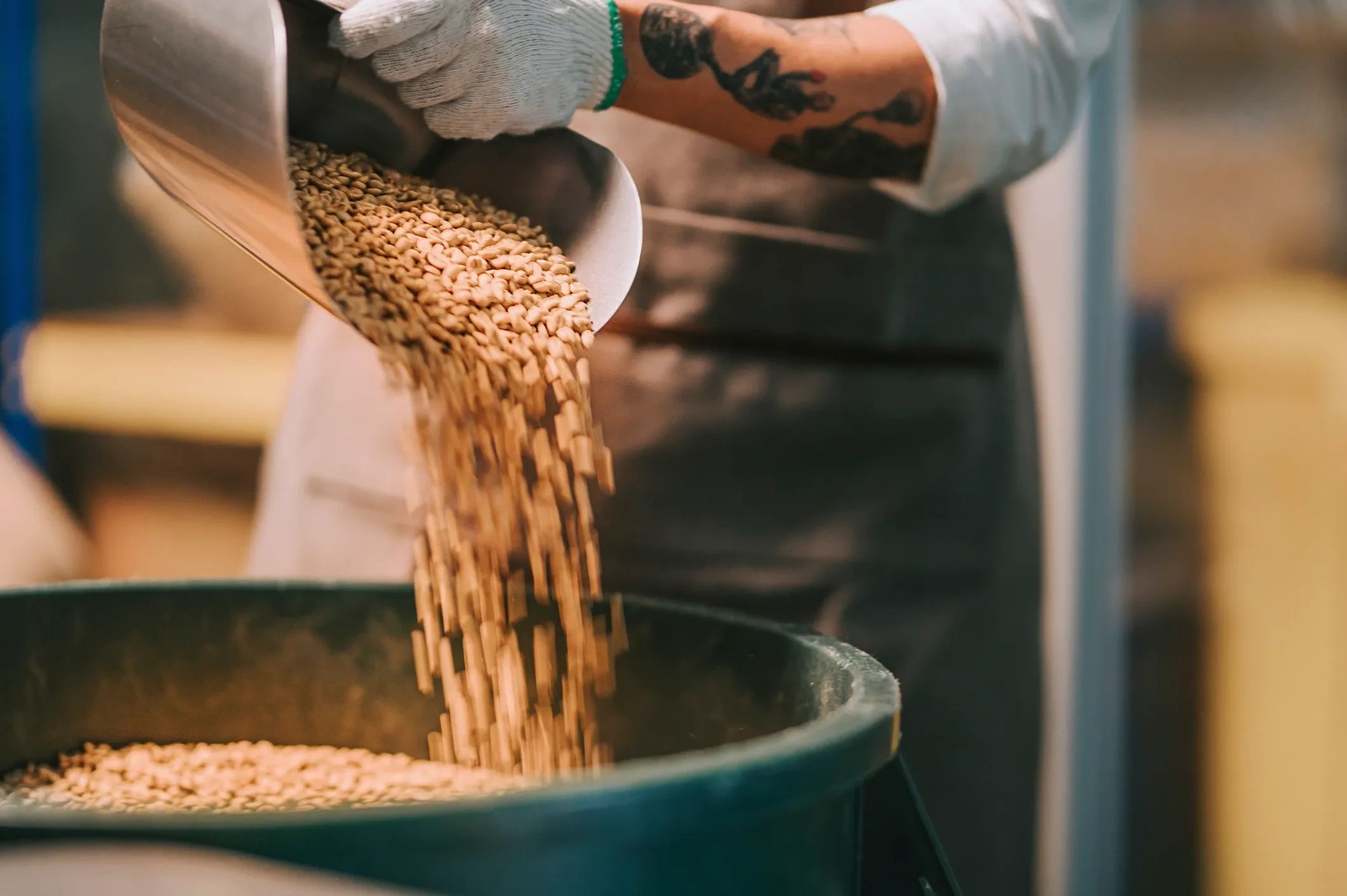 Person pouring raw coffee beans into a container.