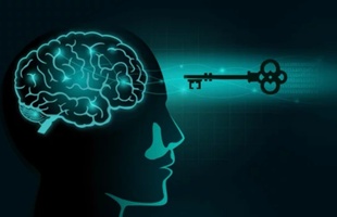 Hypnotic Reprogramming