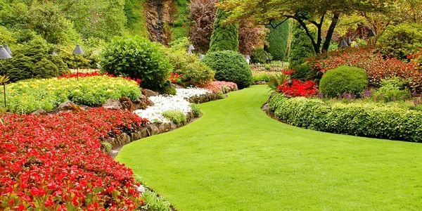 Lawn maintenance
Landscaping
Mulch