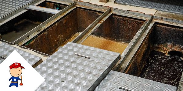 Coleta de gordura profissional