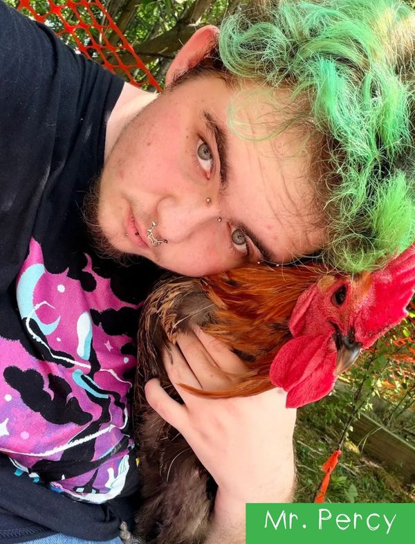 Person with green hair holding a rooster named Mr. Percy.