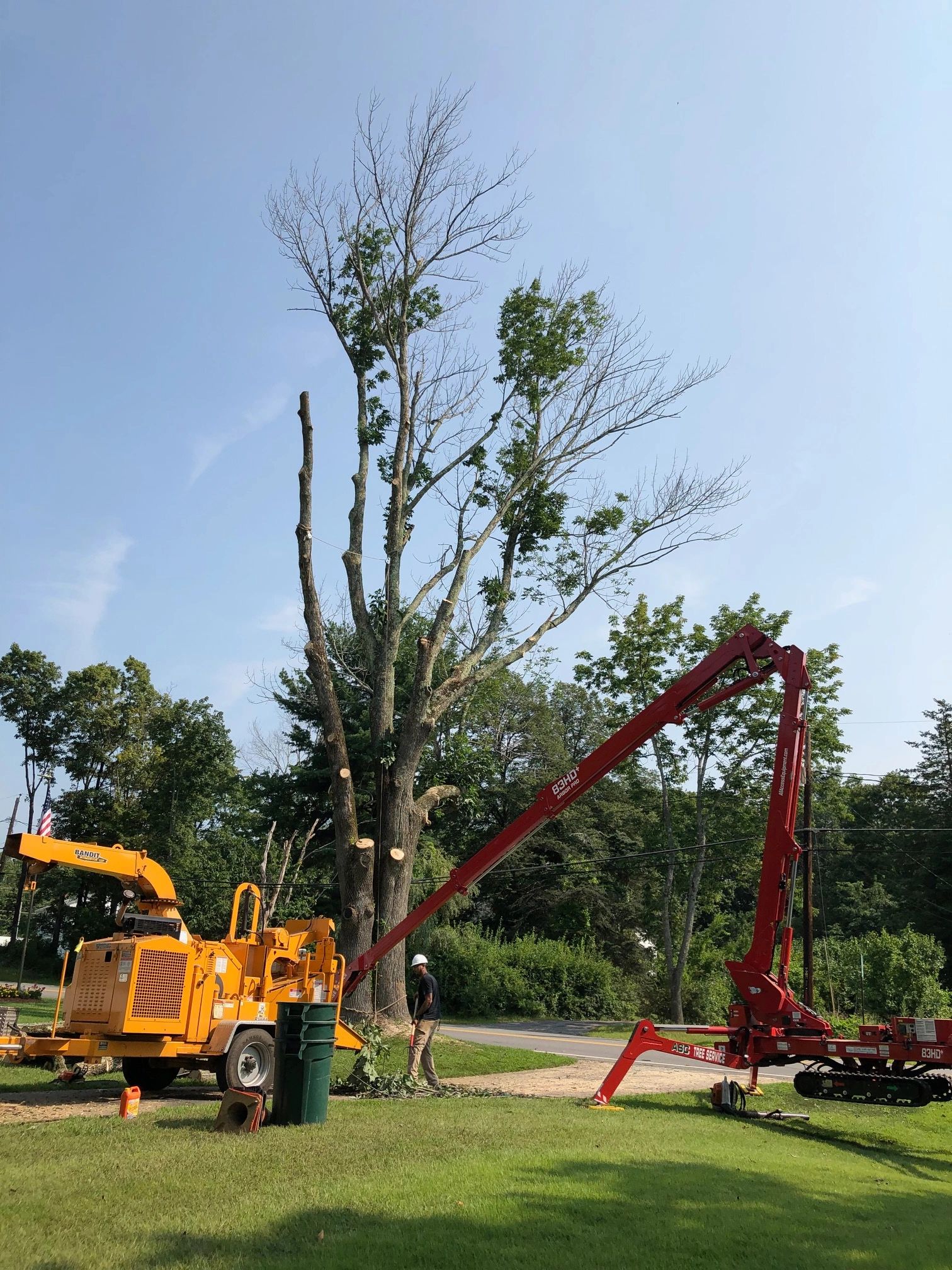 Expert Tree Service for Your Property