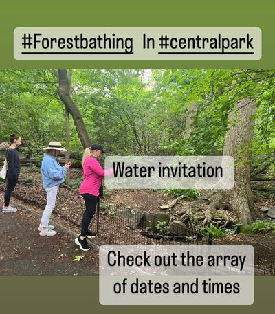 FOREST BATHING
WATER INVITATION
GROUP OUTINGS, IMMERSIVE NATURE EXPERIENCES