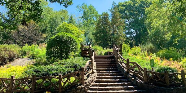 Stone staircase with rustic wooden railings in a sunlit green garden.