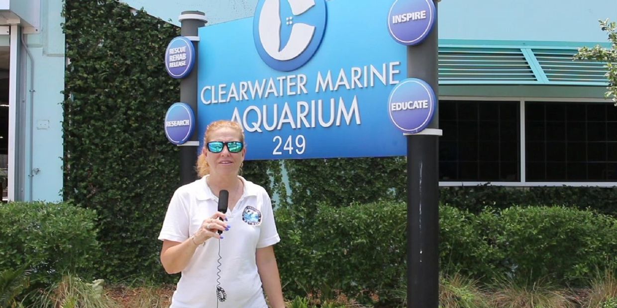 Woman holding a microphone in front of Clearwater Marine Aquarium sign.