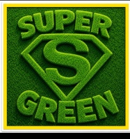 supergreenco.com