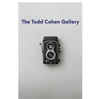Welcome to 
Todd Cohen's 
Photo Gallery.