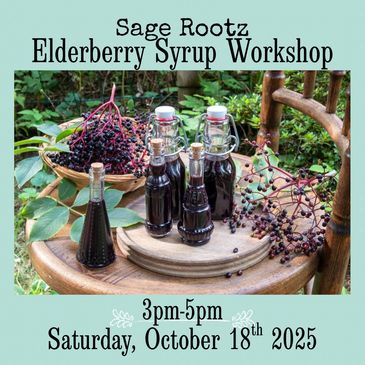 Elderberry Syrup