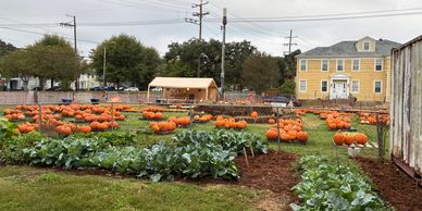 Pumpkin Patch! Support Native Tribes in North America!