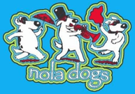 NOLA Girl Charitable giving