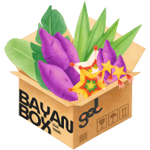 Bayan Box 