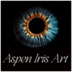 Aspen Iris Art