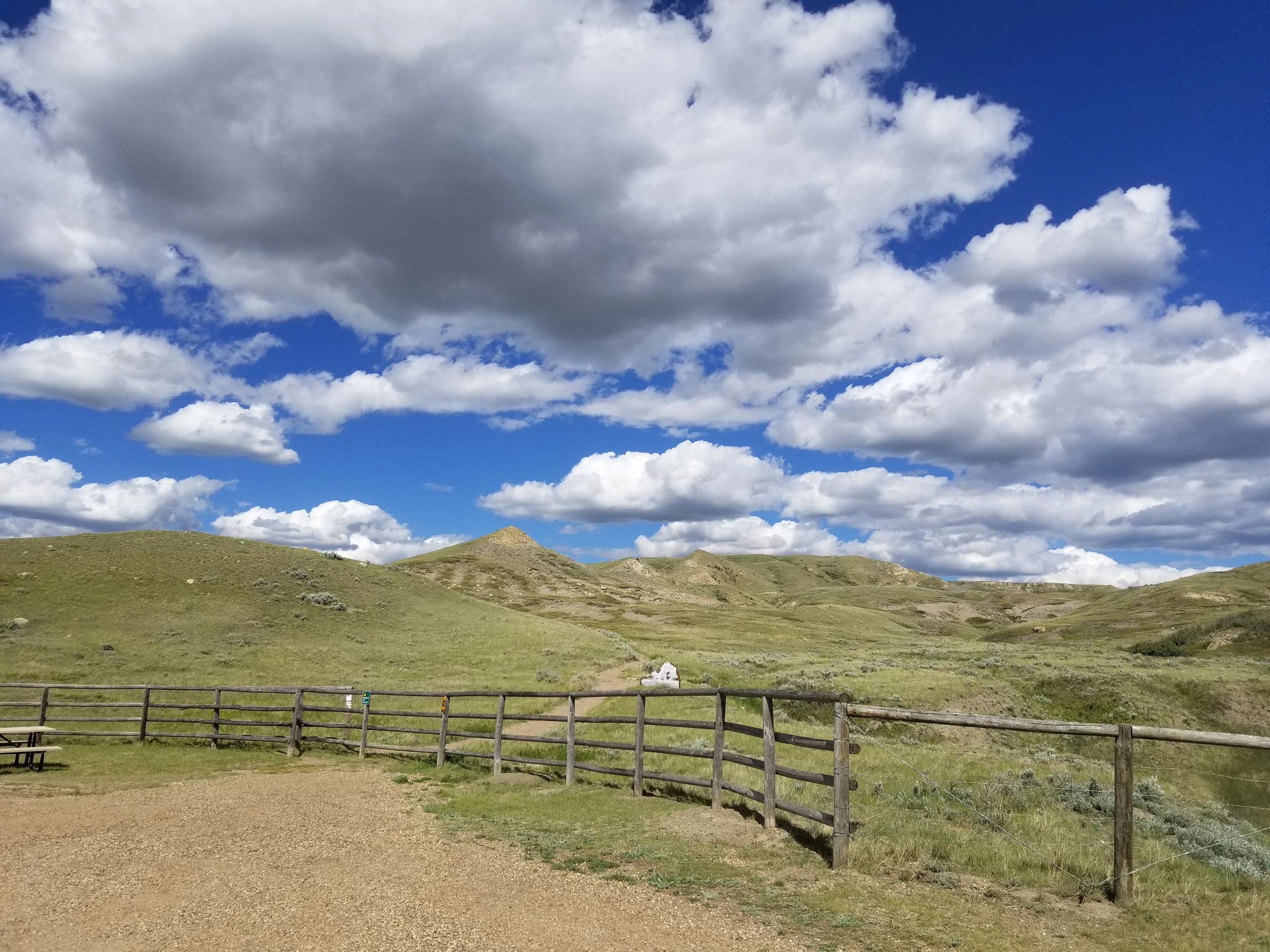 Willow Walk Counselling