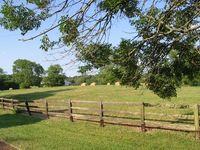 Batey Farm greenspace|Hendersonville, TN|photo by Susan Olivas