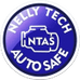 NELLY TECH AUTO SAFE LLC