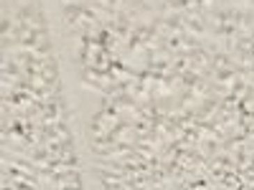 rs=w:365,h:365,cg:true