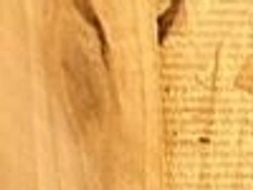 rs=w:365,h:365,cg:true