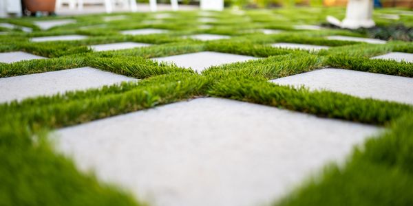 Close-up of a garden path with square white tiles separated by green grass.