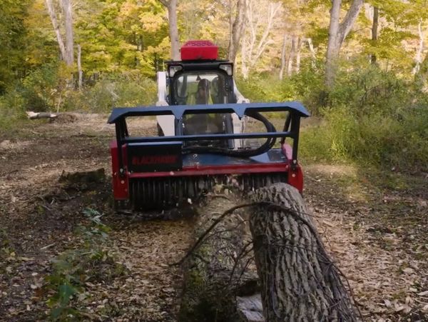 A skid-steer loader mulching a fallen tree in a forest clearing.