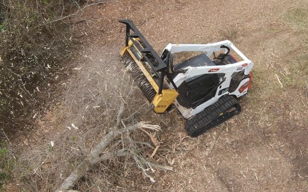 A skid steer forestry mulching a tree.  