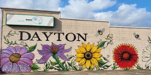 Mural of colorful flowers and bees with 'DAYTON' text.
