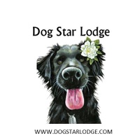 Dog Star Lodge