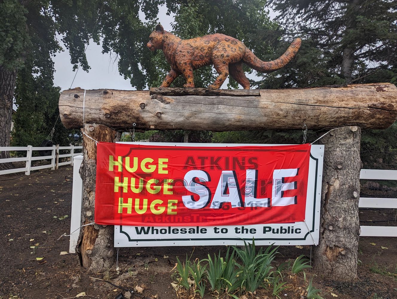 Atkins Tree Farm Trees, Trees, Nursery, Landscaping