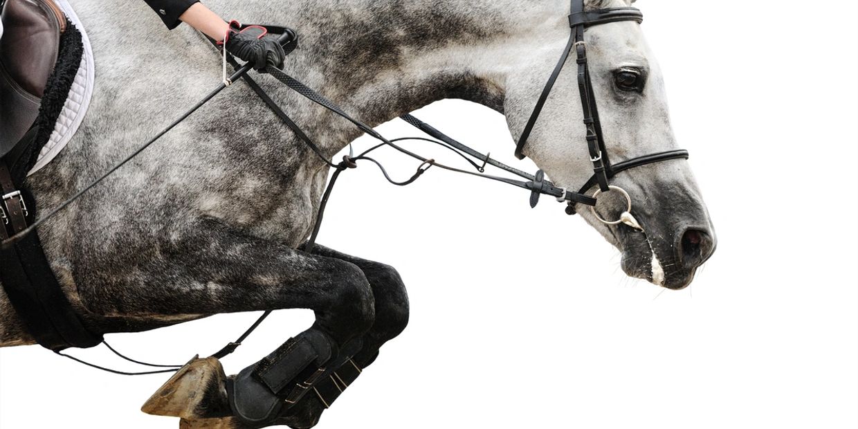 Close-up of a gray horse and rider mid-jump in equestrian sport.