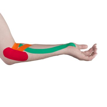 Forearm