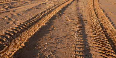 Tire tracks imprinted on sandy soil under warm sunlight.