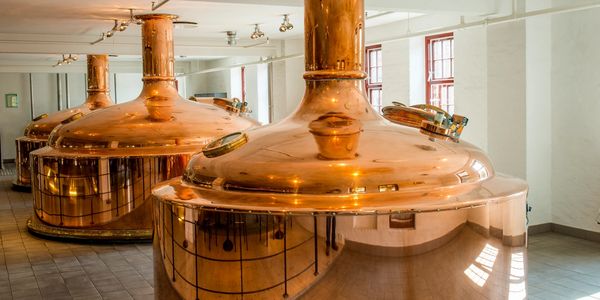 Shiny copper brewing tanks in a brewery room.